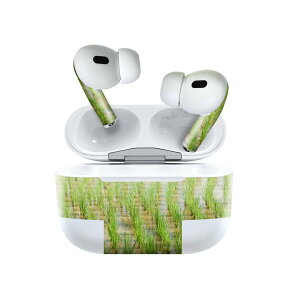 Air Pods Pro2 / Pro1 p fUCXLV[ airpods GA|bh apple Abv AirPods Pro 1 airpodsPro 2 Ή Cz Jo[ fR[V ANZT[ fRV[ 026003 cځ@c
