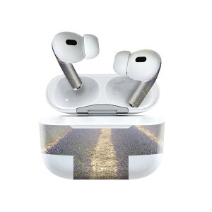 Air Pods Pro2 / Pro1 ��p �f�U�C���X�L���V�[�� airpods �G�A�|�b�h apple �A�b�v�� AirPods Pro ��1���� airpodsPro ��2���� �Ή� �C���z�� �J�o�[ �f�R���[�V���� �A�N�Z�T���[ �f�R�V�[�� 026009 �ԁ@���x��