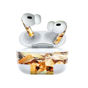 Air Pods Pro2 / Pro1 ��p �f�U�C���X�L���V�[�� airpods �G�A�|�b�h apple �A�b�v�� AirPods Pro ��1���� airpodsPro ��2���� �Ή� �C���z�� �J�o�[ �f�R���[�V���� �A�N�Z�T���[ �f�R�V�[�� 026011 �����t�@�g