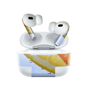 Air Pods Pro2 / Pro1 ��p �f�U�C���X�L���V�[�� airpods �G�A�|�b�h apple �A�b�v�� AirPods Pro ��1���� airpodsPro ��2���� �Ή� �C���z�� �J�o�[ �f�R���[�V���� �A�N�Z�T���[ �f�R�V�[�� 026018 �������@�I