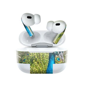 Air Pods Pro2 / Pro1 p fUCXLV[ airpods GA|bh apple Abv AirPods Pro 1 airpodsPro 2 Ή Cz Jo[ fR[V ANZT[ fRV[ 026029 E@@