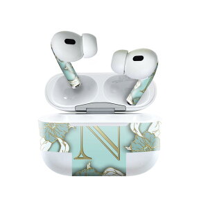 Air Pods Pro2 / Pro1 ��p �f�U�C���X�L���V�[�� airpods �G�A�|�b�h apple �A�b�v�� AirPods Pro ��1���� airpodsPro ��2���� �Ή� �C���z�� �J�o�[ �f�R���[�V���� �A�N�Z�T���[ �f�R�V�[�� 026077 �C�j�V����