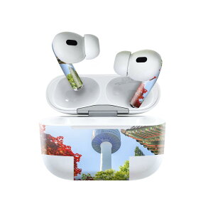 Air Pods Pro2 / Pro1 ��p �f�U�C���X�L���V�[�� airpods �G�A�|�b�h apple �A�b�v�� AirPods Pro ��1���� airpodsPro ��2���� �Ή� �C���z�� �J�o�[ �f�R���[�V���� �A�N�Z�T���[ �f�R�V�[�� 026079 �^���[�@��