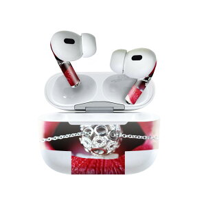 Air Pods Pro2 / Pro1 ��p �f�U�C���X�L���V�[�� airpods �G�A�|�b�h apple �A�b�v�� AirPods Pro ��1���� airpodsPro ��2���� �Ή� �C���z�� �J�o�[ �f�R���[�V���� �A�N�Z�T���[ �f�R�V�[�� 026097 �W���G���[