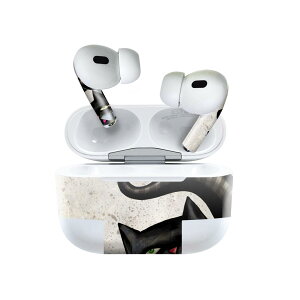 Air Pods Pro2 / Pro1 ��p �f�U�C���X�L���V�[�� airpods �G�A�|�b�h apple �A�b�v�� AirPods Pro ��1���� airpodsPro ��2���� �Ή� �C���z�� �J�o�[ �f�R���[�V���� �A�N�Z�T���[ �f�R�V�[�� 026173 �����@�l�R