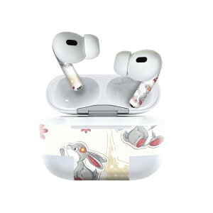 Air Pods Pro2 / Pro1 p fUCXLV[ airpods GA|bh apple Abv AirPods Pro 1 airpodsPro 2 Ή Cz Jo[ fR[V ANZT[ fRV[ 004195 ԁ@