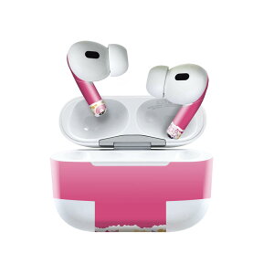 Air Pods Pro2 / Pro1 p fUCXLV[ airpods GA|bh apple Abv AirPods Pro 1 airpodsPro 2 Ή Cz Jo[ fR[V ANZT[ fRV[ 004593 ԁ@@s