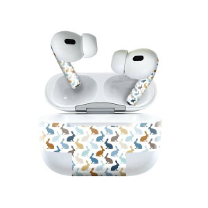 Air Pods Pro2 / Pro1 p fUCXLV[ airpods GA|bh apple Abv AirPods Pro 1 airpodsPro 2 Ή Cz Jo[ fR[V ANZT[ fRV[ 005296 @V