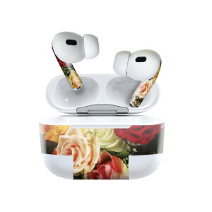 Air Pods Pro2 / Pro1 p fUCXLV[ airpods GA|bh apple Abv AirPods Pro 1 airpodsPro 2 Ή Cz Jo[ fR[V ANZT[ fRV[ 005321 ԁ@@ԁ@