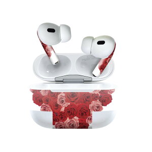 Air Pods Pro2 / Pro1 p fUCXLV[ airpods GA|bh apple Abv AirPods Pro 1 airpodsPro 2 Ή Cz Jo[ fR[V ANZT[ fRV[ 005389 n[g@@