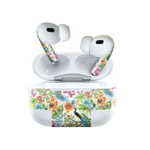 Air Pods Pro2 / Pro1 ��p �f�U�C���X�L���V�[�� airpods �G�A�|�b�h apple �A�b�v�� AirPods Pro ��1���� airpodsPro ��2���� �Ή� �C���z�� �J�o�[ �f�R���[�V���� �A�N�Z�T���[ �f�R�V�[�� 005408 ���@�����@