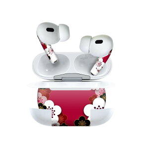 Air Pods Pro2 / Pro1 p fUCXLV[ airpods GA|bh apple Abv AirPods Pro 1 airpodsPro 2 Ή Cz Jo[ fR[V ANZT[ fRV[ 005846 a@a