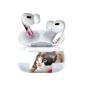 Air Pods Pro2 / Pro1 p fUCXLV[ airpods GA|bh apple Abv AirPods Pro 1 airpodsPro 2 Ή Cz Jo[ fR[V ANZT[ fRV[ 005939 Aj} 
