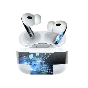 Air Pods Pro2 / Pro1 p fUCXLV[ airpods GA|bh apple Abv AirPods Pro 1 airpodsPro 2 Ή Cz Jo[ fR[V ANZT[ fRV[ 007508 @u[