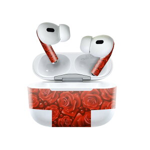 Air Pods Pro2 / Pro1 ��p �f�U�C���X�L���V�[�� airpods �G�A�|�b�h apple �A�b�v�� AirPods Pro ��1���� airpodsPro ��2���� �Ή� �C���z�� �J�o�[ �f�R���[�V���� �A�N�Z�T���[ �f�R�V�[�� 007621 �ԁ@�@�͗l
