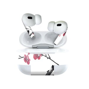 Air Pods Pro2 / Pro1 p fUCXLV[ airpods GA|bh apple Abv AirPods Pro 1 airpodsPro 2 Ή Cz Jo[ fR[V ANZT[ fRV[ 009339 a@a