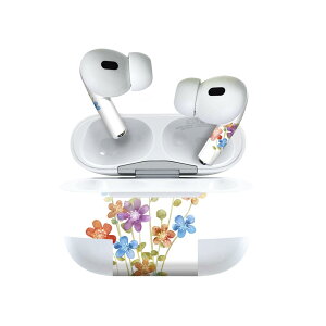 Air Pods Pro2 / Pro1 p fUCXLV[ airpods GA|bh apple Abv AirPods Pro 1 airpodsPro 2 Ή Cz Jo[ fR[V ANZT[ fRV[ 010003 @ʁ@p
