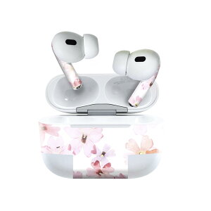 Air Pods Pro2 / Pro1 ��p �f�U�C���X�L���V�[�� airpods �G�A�|�b�h apple �A�b�v�� AirPods Pro ��1���� airpodsPro ��2���� �Ή� �C���z�� �J�o�[ �f�R���[�V���� �A�N�Z�T���[ �f�R�V�[�� 011028 �ԁ@�@�s��