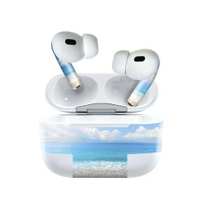 Air Pods Pro2 / Pro1 ��p �f�U�C���X�L���V�[�� airpods �G�A�|�b�h apple �A�b�v�� AirPods Pro ��1���� airpodsPro ��2���� �Ή� �C���z�� �J�o�[ �f�R���[�V���� �A�N�Z�T���[ �f�R�V�[�� 011085 �C�@�r�[�`