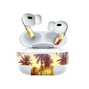 Air Pods Pro2 / Pro1 ��p �f�U�C���X�L���V�[�� airpods �G�A�|�b�h apple �A�b�v�� AirPods Pro ��1���� airpodsPro ��2���� �Ή� �C���z�� �J�o�[ �f�R���[�V���� �A�N�Z�T���[ �f�R�V�[�� 011302 �ā@���V��