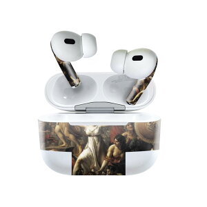 Air Pods Pro2 / Pro1 専用 デザインスキンシール airpods エアポッド apple アップル AirPods Pro 第1世代 airpodsPro 第2世代 対応 イヤホン カバー デコレーション アクセサリー デコシール 011465 イラスト
