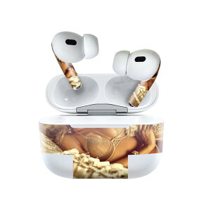 Air Pods Pro2 / Pro1 ��p �f�U�C���X�L���V�[�� airpods �G�A�|�b�h apple �A�b�v�� AirPods Pro ��1���� airpodsPro ��2���� �Ή� �C���z�� �J�o�[ �f�R���[�V���� �A�N�Z�T���[ �f�R�V�[�� 011562 �������@