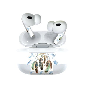 Air Pods Pro2 / Pro1 ��p �f�U�C���X�L���V�[�� airpods �G�A�|�b�h apple �A�b�v�� AirPods Pro ��1���� airpodsPro ��2���� �Ή� �C���z�� �J�o�[ �f�R���[�V���� �A�N�Z�T���[ �f�R�V�[�� 011782 �h���[���L
