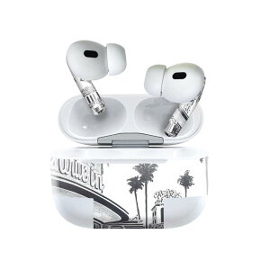 Air Pods Pro2 / Pro1 ��p �f�U�C���X�L���V�[�� airpods �G�A�|�b�h apple �A�b�v�� AirPods Pro ��1���� airpodsPro ��2���� �Ή� �C���z�� �J�o�[ �f�R���[�V���� �A�N�Z�T���[ �f�R�V�[�� 011791 �C���X�g�@