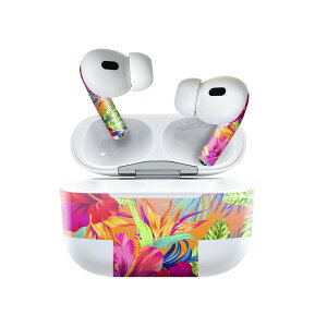 Air Pods Pro2 / Pro1 ��p �f�U�C���X�L���V�[�� airpods �G�A�|�b�h apple �A�b�v�� AirPods Pro ��1���� airpodsPro ��2���� �Ή� �C���z�� �J�o�[ �f�R���[�V���� �A�N�Z�T���[ �f�R�V�[�� 012174 �n�C�r�X�J