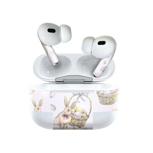 Air Pods Pro2 / Pro1 ��p �f�U�C���X�L���V�[�� airpods �G�A�|�b�h apple �A�b�v�� AirPods Pro ��1���� airpodsPro ��2���� �Ή� �C���z�� �J�o�[ �f�R���[�V���� �A�N�Z�T���[ �f�R�V�[�� 012209 �������@��