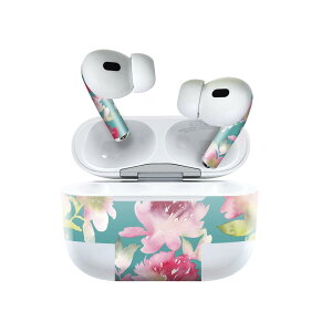 Air Pods Pro2 / Pro1 ��p �f�U�C���X�L���V�[�� airpods �G�A�|�b�h apple �A�b�v�� AirPods Pro ��1���� airpodsPro ��2���� �Ή� �C���z�� �J�o�[ �f�R���[�V���� �A�N�Z�T���[ �f�R�V�[�� 012287 �ԁ@�΁@�s