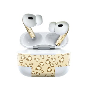 Air Pods Pro2 / Pro1 ��p �f�U�C���X�L���V�[�� airpods �G�A�|�b�h apple �A�b�v�� AirPods Pro ��1���� airpodsPro ��2���� �Ή� �C���z�� �J�o�[ �f�R���[�V���� �A�N�Z�T���[ �f�R�V�[�� 012304 �q���E���@