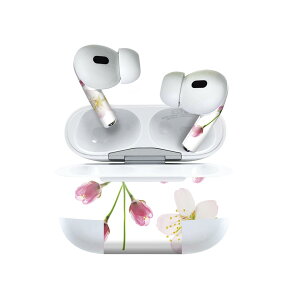 Air Pods Pro2 / Pro1 ��p �f�U�C���X�L���V�[�� airpods �G�A�|�b�h apple �A�b�v�� AirPods Pro ��1���� airpodsPro ��2���� �Ή� �C���z�� �J�o�[ �f�R���[�V���� �A�N�Z�T���[ �f�R�V�[�� 012850 ���@�ԁ@�t
