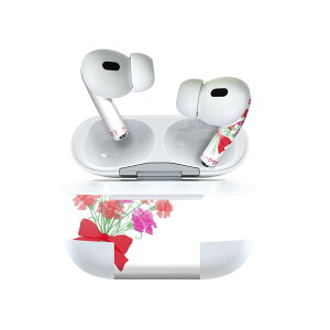 Air Pods Pro2 / Pro1 ��p �f�U�C���X�L���V�[�� airpods �G�A�|�b�h apple �A�b�v�� AirPods Pro ��1���� airpodsPro ��2���� �Ή� �C���z�� �J�o�[ �f�R���[�V���� �A�N�Z�T���[ �f�R�V�[�� 012907 ��̓��@�J