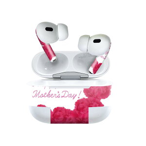 Air Pods Pro2 / Pro1 ��p �f�U�C���X�L���V�[�� airpods �G�A�|�b�h apple �A�b�v�� AirPods Pro ��1���� airpodsPro ��2���� �Ή� �C���z�� �J�o�[ �f�R���[�V���� �A�N�Z�T���[ �f�R�V�[�� 012909 ��̓��@�J