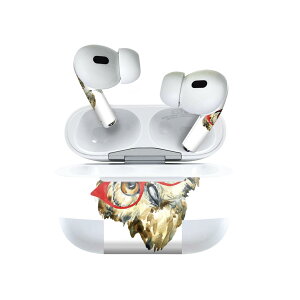 Air Pods Pro2 / Pro1 ��p �f�U�C���X�L���V�[�� airpods �G�A�|�b�h apple �A�b�v�� AirPods Pro ��1���� airpodsPro ��2���� �Ή� �C���z�� �J�o�[ �f�R���[�V���� �A�N�Z�T���[ �f�R�V�[�� 013424 �ӂ��낤�@