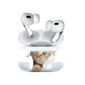 Air Pods Pro2 / Pro1 p fUCXLV[ airpods GA|bh apple Abv AirPods Pro 1 airpodsPro 2 Ή Cz Jo[ fR[V ANZT[ fRV[ 013566 L@ʐ^