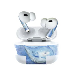 Air Pods Pro2 / Pro1 p fUCXLV[ airpods GA|bh apple Abv AirPods Pro 1 airpodsPro 2 Ή Cz Jo[ fR[V ANZT[ fRV[ 013611 NW@C