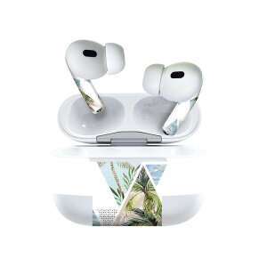 Air Pods Pro2 / Pro1 ��p �f�U�C���X�L���V�[�� airpods �G�A�|�b�h apple �A�b�v�� AirPods Pro ��1���� airpodsPro ��2���� �Ή� �C���z�� �J�o�[ �f�R���[�V���� �A�N�Z�T���[ �f�R�V�[�� 014005 �g���s�J��