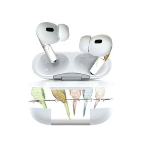 Air Pods Pro2 / Pro1 専用 デザインスキンシール airpods エアポッド apple アップル AirPods Pro 第1世代 airpodsPro 第2世代 対応 イヤホン カバー デコレーション アクセサリー デコシール 014042 鳥 インコ