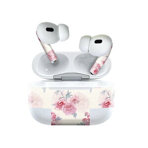 Air Pods Pro2 / Pro1 p fUCXLV[ airpods GA|bh apple Abv AirPods Pro 1 airpodsPro 2 Ή Cz Jo[ fR[V ANZT[ fRV[ 014536 ԁ@@s