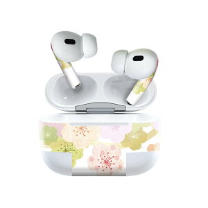 Air Pods Pro2 / Pro1 ��p �f�U�C���X�L���V�[�� airpods �G�A�|�b�h apple �A�b�v�� AirPods Pro ��1���� airpodsPro ��2���� �Ή� �C���z�� �J�o�[ �f�R���[�V���� �A�N�Z�T���[ �f�R�V�[�� 014829 �t�@���@��