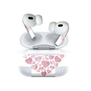 Air Pods Pro2 / Pro1 ��p �f�U�C���X�L���V�[�� airpods �G�A�|�b�h apple �A�b�v�� AirPods Pro ��1���� airpodsPro ��2���� �Ή� �C���z�� �J�o�[ �f�R���[�V���� �A�N�Z�T���[ �f�R�V�[�� 015366 �n�[�g�@�@
