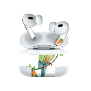 Air Pods Pro2 / Pro1 ��p �f�U�C���X�L���V�[�� airpods �G�A�|�b�h apple �A�b�v�� AirPods Pro ��1���� airpodsPro ��2���� �Ή� �C���z�� �J�o�[ �f�R���[�V���� �A�N�Z�T���[ �f�R�V�[�� 016279 �A���@���@