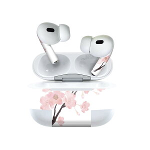 Air Pods Pro2 / Pro1 p fUCXLV[ airpods GA|bh apple Abv AirPods Pro 1 airpodsPro 2 Ή Cz Jo[ fR[V ANZT[ fRV[ 016455 @A