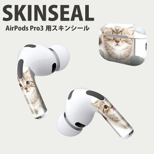 Air Pods Pro3 ��p �f�U�C���X�L���V�[�� �G�A�|�b�h AirPods Pro ��3���� �Ή� 2������ �C���z�� �J�o�[ �f�R���[�V���� �A�N�Z�T���[ �f�R�V�[�� ���i���Ĕ������V�[�g 001194 �l�R�@����