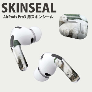 Air Pods Pro3 ��p �f�U�C���X�L���V�[�� �G�A�|�b�h AirPods Pro ��3���� �Ή� 2������ �C���z�� �J�o�[ �f�R���[�V���� �A�N�Z�T���[ �f�R�V�[�� ���i���Ĕ������V�[�g 002577