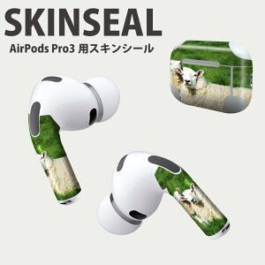 Air Pods Pro3 ��p �f�U�C���X�L���V�[�� �G�A�|�b�h AirPods Pro ��3���� �Ή� 2������ �C���z�� �J�o�[ �f�R���[�V���� �A�N�Z�T���[ �f�R�V�[�� ���i���Ĕ������V�[�g 002585 �Ђ��@�����@�ʐ^