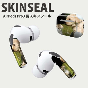 Air Pods Pro3 ��p �f�U�C���X�L���V�[�� �G�A�|�b�h AirPods Pro ��3���� �Ή� 2������ �C���z�� �J�o�[ �f�R���[�V���� �A�N�Z�T���[ �f�R�V�[�� ���i���Ĕ������V�[�g 002794 ���@�L�@�����@�ʐ^