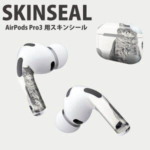 Air Pods Pro3 ��p �f�U�C���X�L���V�[�� �G�A�|�b�h AirPods Pro ��3���� �Ή� 2������ �C���z�� �J�o�[ �f�R���[�V���� �A�N�Z�T���[ �f�R�V�[�� ���i���Ĕ������V�[�g 002901 �L�@�����@�ʐ^